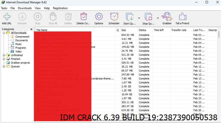 Idm Crack 6.39 Build 19 Screenshot