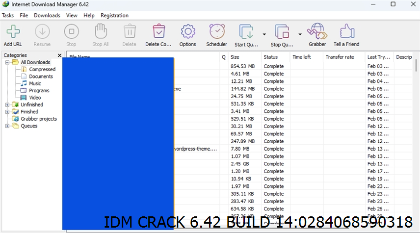 Idm Crack 6.42 Build 14 Screenshot